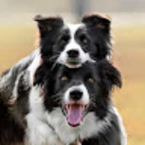 Meet your Posher, Tim